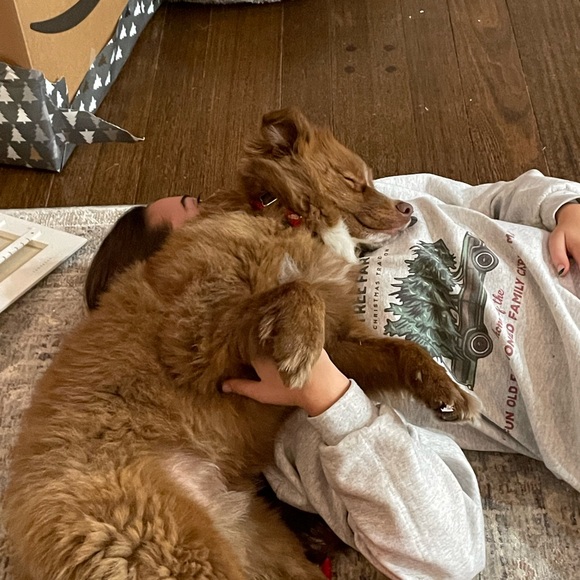 Girls youth ski pants - Picture 4 of 4